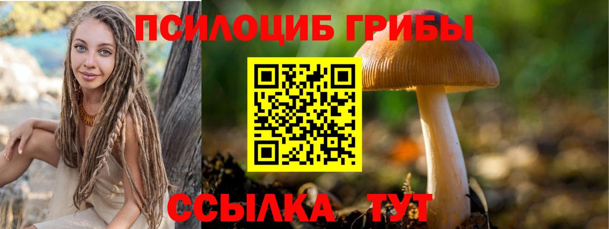 Казань  Галлюциногенные грибы Psilocybine cubensis  Псилоцибиновые грибы MAGIC MUSHROOMS  Вход с VPN 